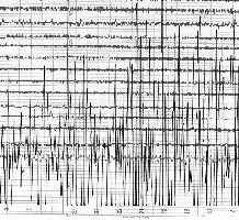 beben2_indonesien.jpg (12194 Byte)
